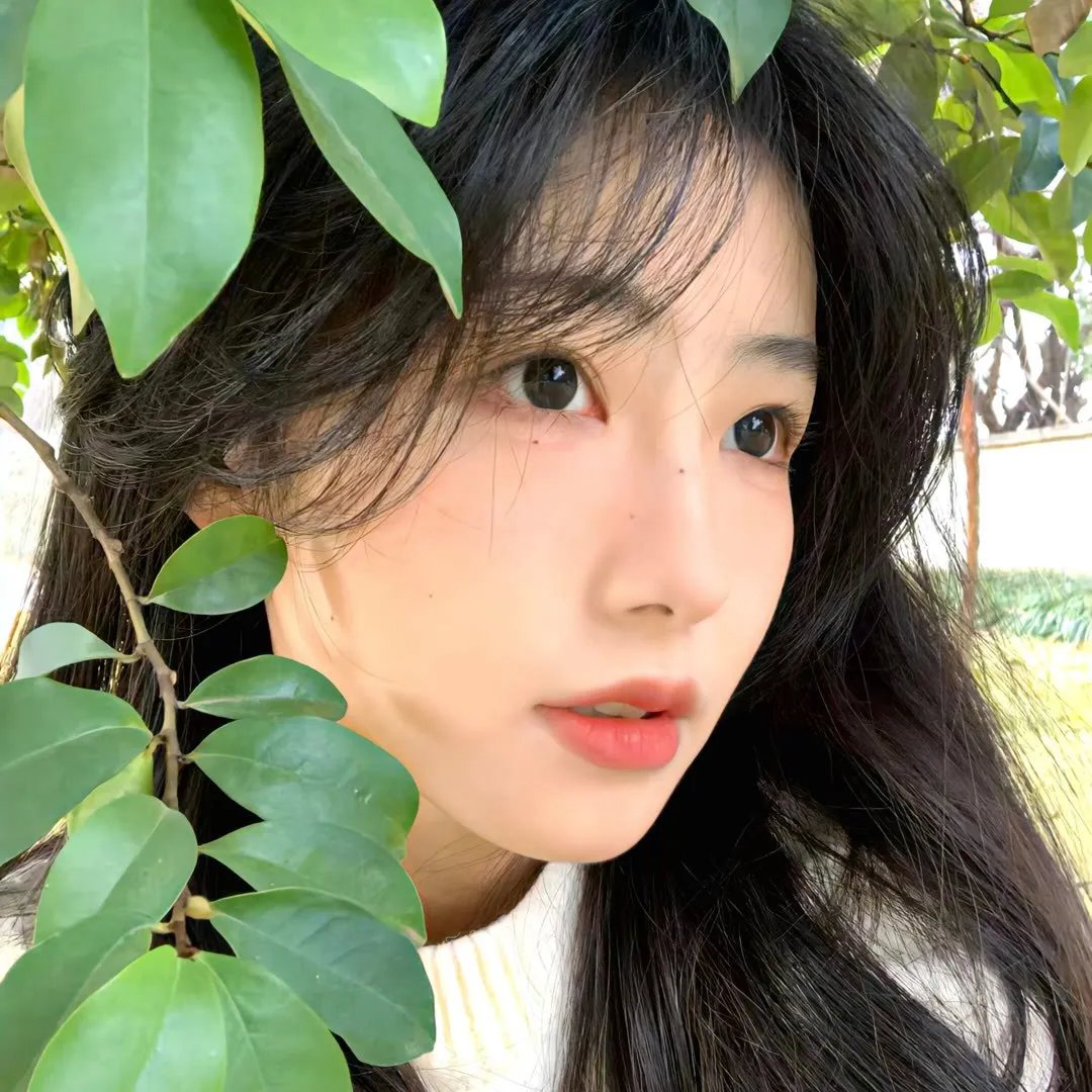 齐姆与友